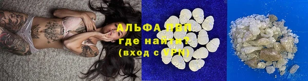 ГАЛЛЮЦИНОГЕННЫЕ ГРИБЫ Белокуриха
