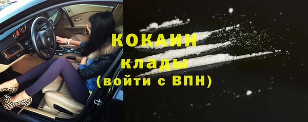 ГАЛЛЮЦИНОГЕННЫЕ ГРИБЫ Белокуриха