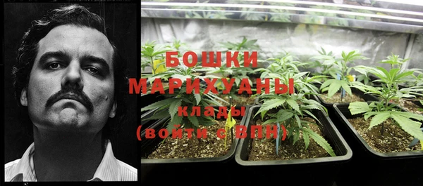 ГАЛЛЮЦИНОГЕННЫЕ ГРИБЫ Белокуриха