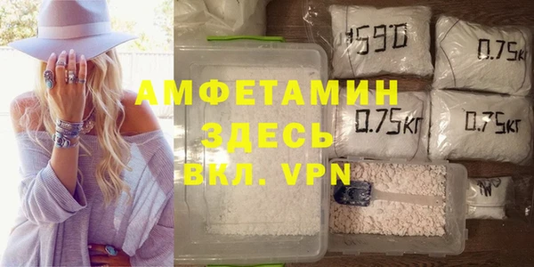 ГАЛЛЮЦИНОГЕННЫЕ ГРИБЫ Белокуриха