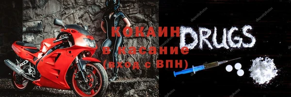ГАЛЛЮЦИНОГЕННЫЕ ГРИБЫ Белокуриха