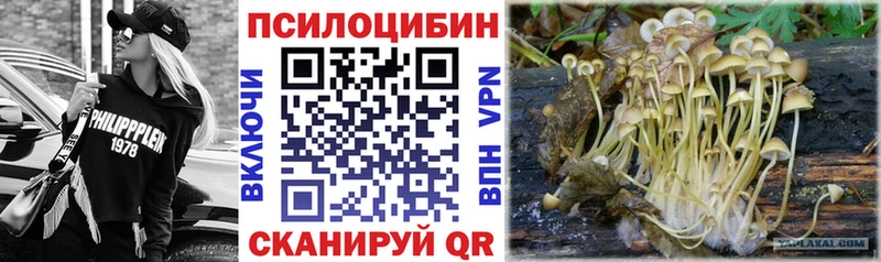 Галлюциногенные грибы GOLDEN TEACHER  Болохово 